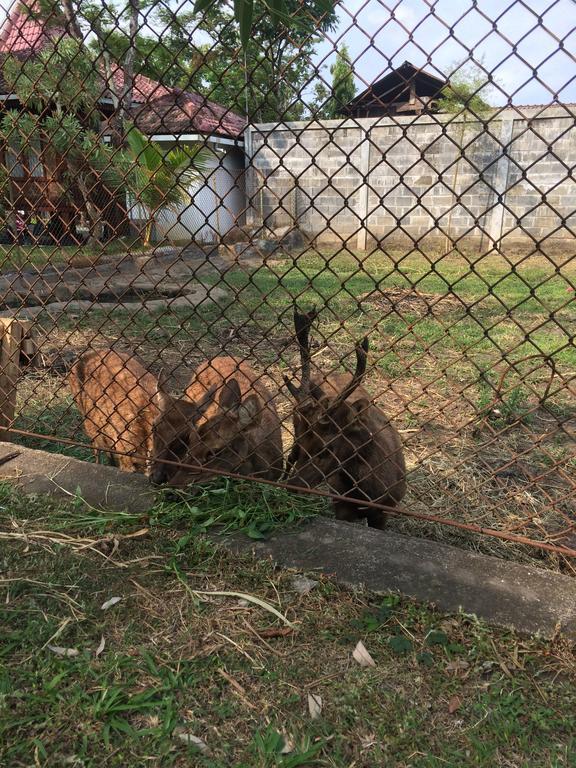 De'Rumah Rindu Alam Batu  Buitenkant foto